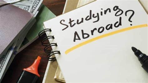 Study Abroad What Universities Expect And How Students Can Stay Ahead