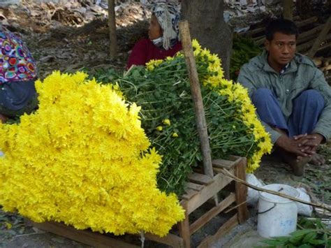 Flower Market Near Mandalay Myanmar 14 Weeks Worth Of Socks