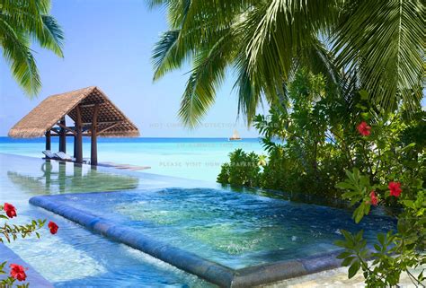 Beautiful Pool On Tropical Beach Exotic Sea Rohl
