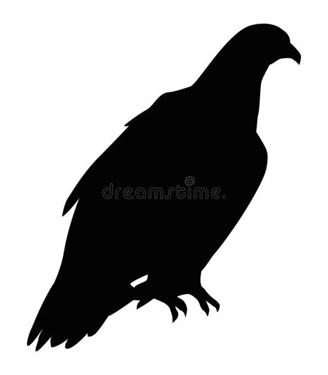 Wild Eagle Silhouette Stock Vector Illustration Of Nature 239306635