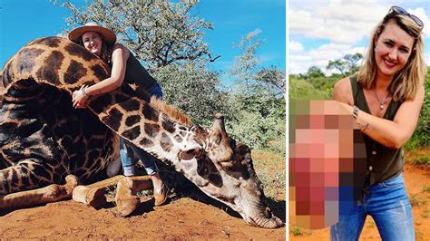 anger after trophy hunter kills poses with heart of giraffe she shot for valentine s day