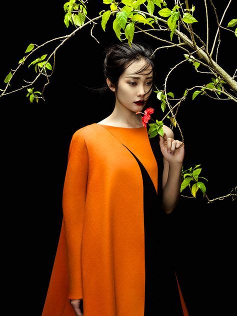 Jingna Zhang Artistic Portrait Photography Fashion Photography