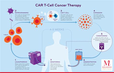 Car T Cell Therapy Process My XXX Hot Girl