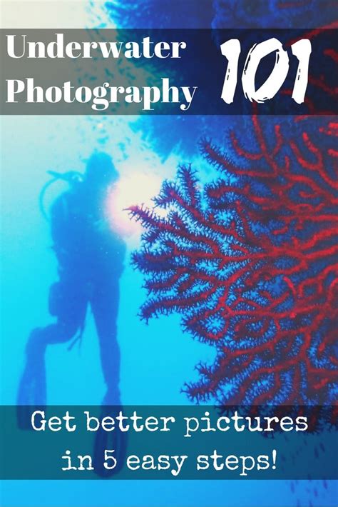 How To Take Pictures Underwater My Top 5 Tips For