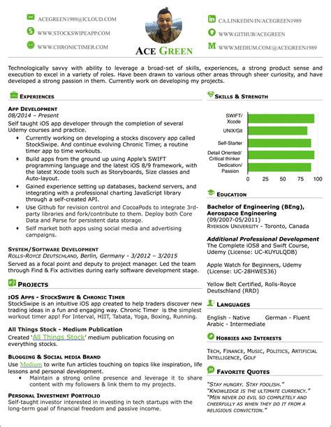 Amazing Professional Resume Template Silicon Valley Resume Example