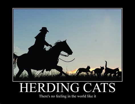 Funny Herding Cats Meme Davidchirot