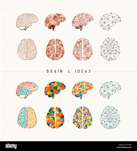 Conjunto De Cerebros Y Coloridas Ideas Elementos Ilustraci N Del