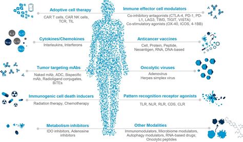 Immuno Oncology Trends Preclinical Models Biomarkers And Clinical