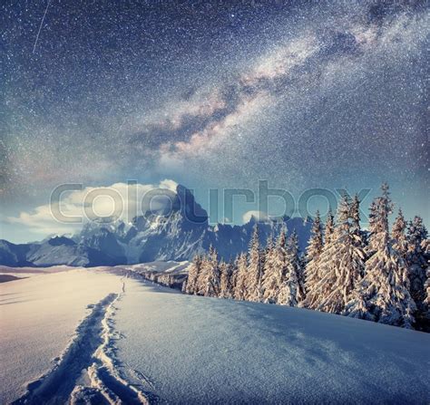 Starry Sky In Winter Snowy Night Stock Photo Colourbox