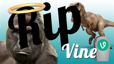 The Best Vinesrip Vine Compilation Youtube