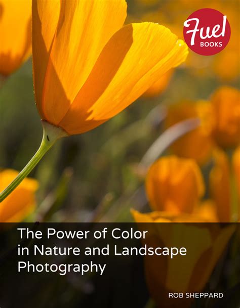 Cover Page The Power Of Color In Nature And Landscape Photography Book