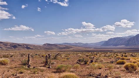 Desert In Nevada Stock Photo Download Image Now Istock