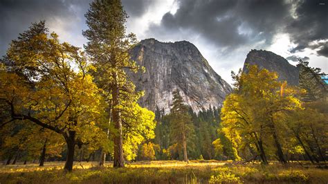 Yosemite National Park 11 Wallpaper Nature Wallpapers