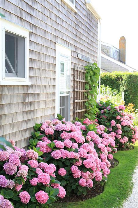 17 Dreamy Hydrangea Gardens That Are Giving Us Major