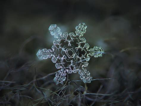 Real Snowflake Slight Asymmetry New Photograph By Alexey Kljatov Fine Art America
