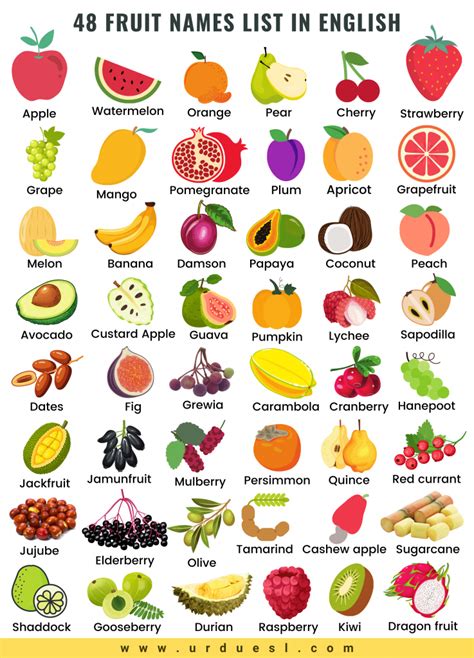 All Fruit Names In English And Urdu With Pictures Download Pdf