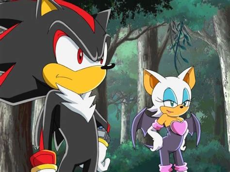 Sonic X Shadow And Rouge Sonic Sonic And Shadow Shadow The Hedgehog
