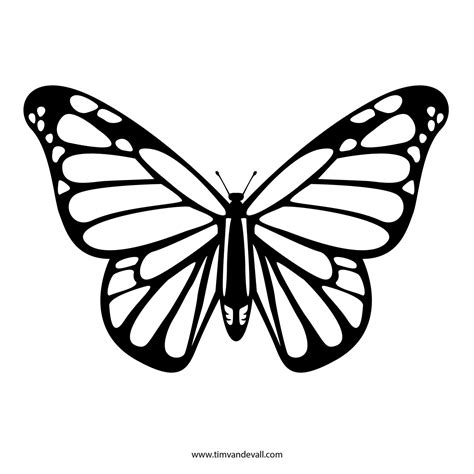 Monarch Butterfly Outline Template Butterfly Line Drawing Monarch