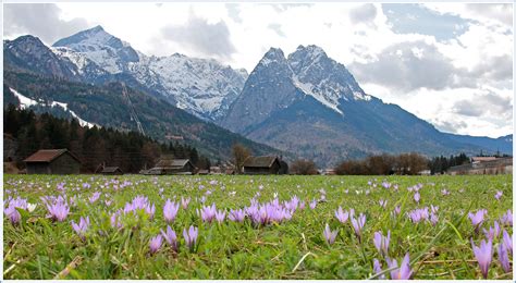 Frühling In Den Bergen Foto And Bild Jahreszeiten Frühling