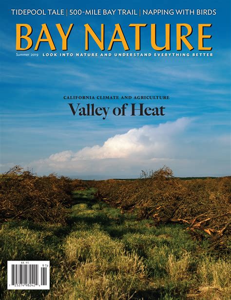 Bay Nature Magazine Summer 2019 Issue