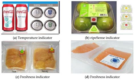 Active Packaging For Food Applications