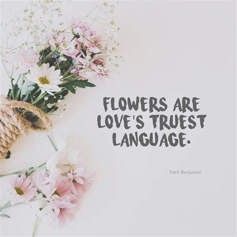 Flower Love Quotes Inspiration