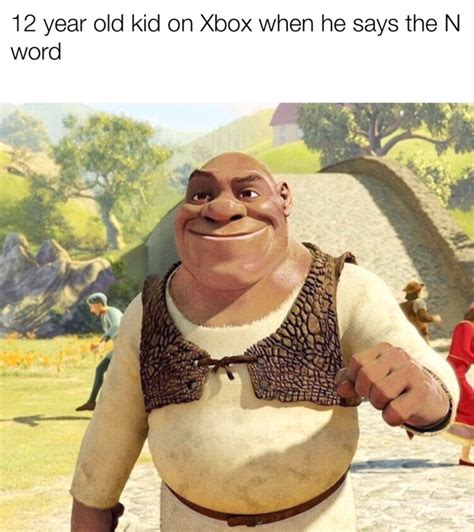 Shrek 5 Shrek Says The N Word R Dankmemes