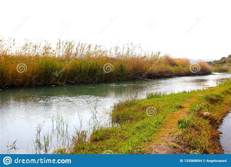 Calm River In Autumn Stock Photo Image Of Grass Outdoors 132068694