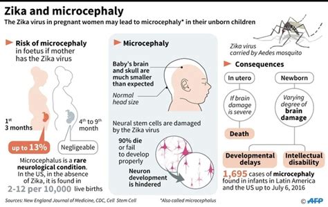 Akibat virus zika, ribuan bayi telah lahir dengan kondisi otak yang belum berkembang sepenuhnya. Kasus Zika di Singapura Meningkat ke 82 Kasus