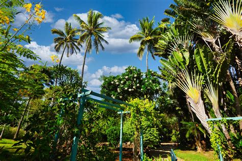Le Jardin d'Eden, jardin botanique à Saint-Gilles - Blog