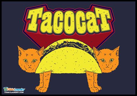 Tacocat Tshirt Taco Cat Cats With Hats Cat Art