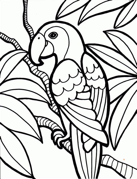Birds Coloring Pages To Knowing The Kind Of Birds Name Coloring Pages