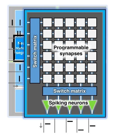 Neuromorphic Ai Chips For Spiking Neural Networks Debut Embedded Com
