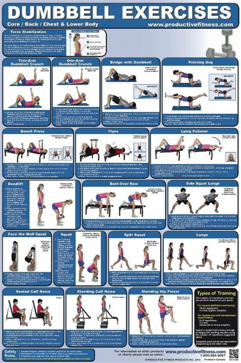 Dumbbell Exercise Poster Dumbbell Workout Dumbell Workout Workout Chart