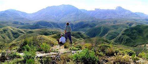 Unit b 30 pinelands business park, new mill road, ndabeni, cape town. THE RETREAT AT GROENFONTEIN, CALITZDORP (20km ...