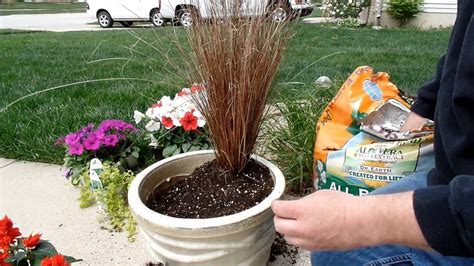 Container Gardening Idea Fun With Flowers Youtube