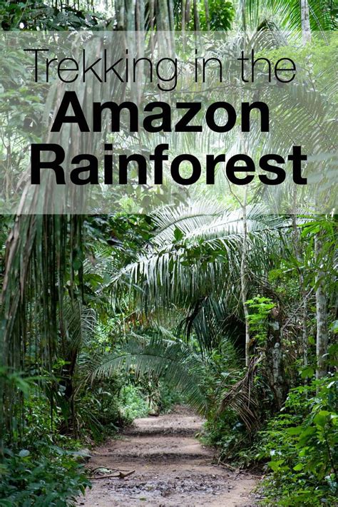 An Introduction To The Amazon Rainforest Amazon Travel Amazon