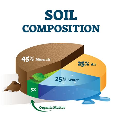 Soil Is The Thin Layer Of Material Covering The Earths Surface