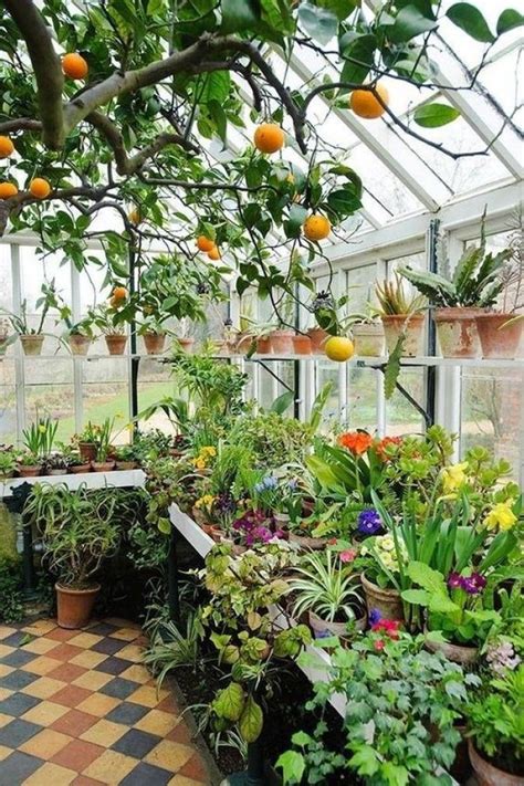 Greenhouses Built To Take Care Of Plants In Any Season My Desired Home