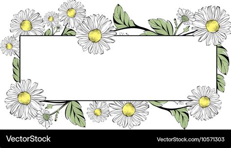 Free Clip Art Daisy Flower Border Home Alqu