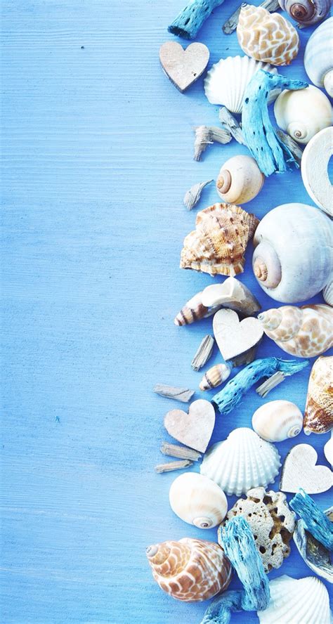 Seashell Wallpaper Blue Wood Seashells Sea Star Iphone Fond D Écran