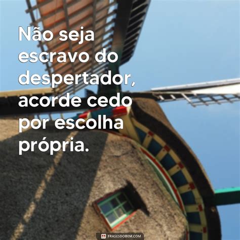 Frases De Acordar Cedo