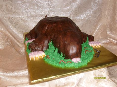 Mole Cakes
