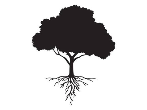 Tree Roots Clip Art Black And White
