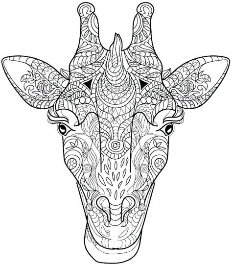 Giraffe Head Coloring Page At Free Printable