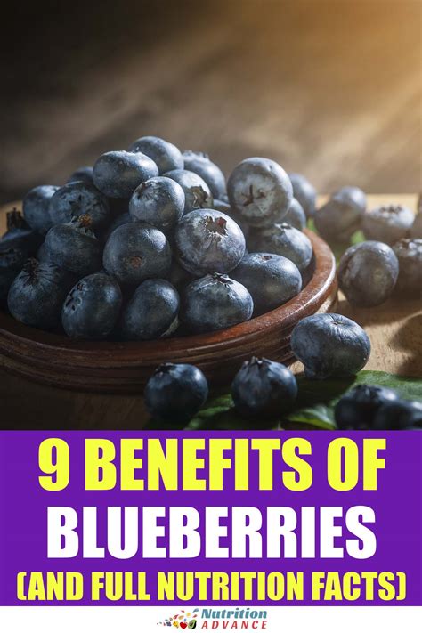 wild blueberries nutrition facts and health benefits nutrition advance