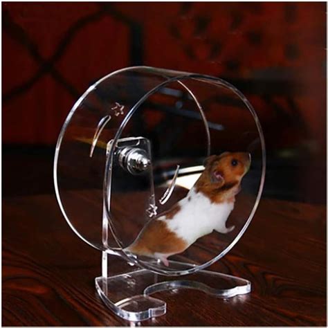 Ftfdtmy Hamster Wheel Acrylic Transparent Hamster Small Pet Running