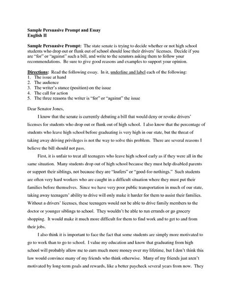 Persuasive Essay Samples For High School Goal Blockety Co
