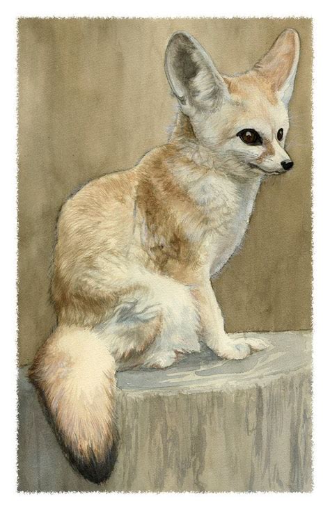 Fennec Fox Study By Deirling On Deviantart Fennec Fox Fox Painting