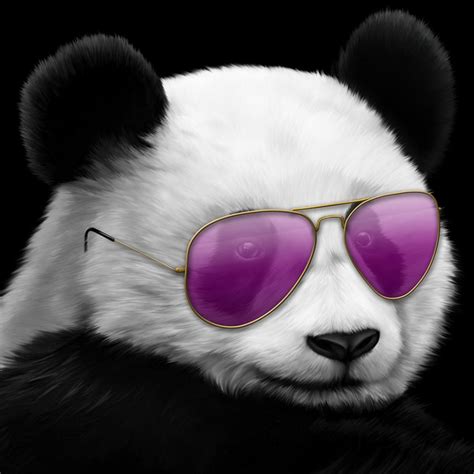 Cool Panda Avatar On Ps4 Official Playstation Store Us Cool Panda